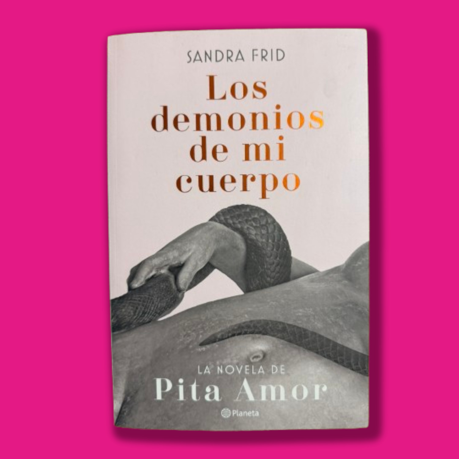 gran-outlet-de-libros-los-demonios-de-mi-cuerpo